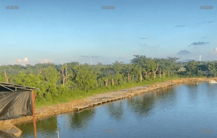 广州大炮海钓场