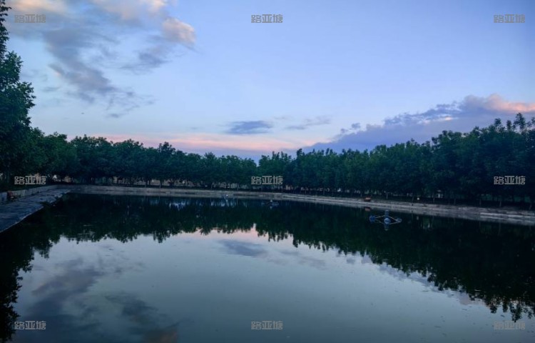春和景明（北京）路亚休闲基地