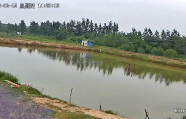 孝感开心路亚钓场