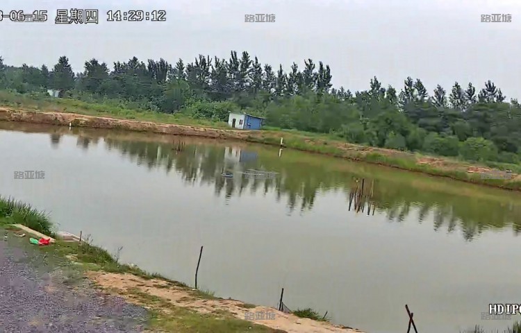 孝感开心路亚钓场