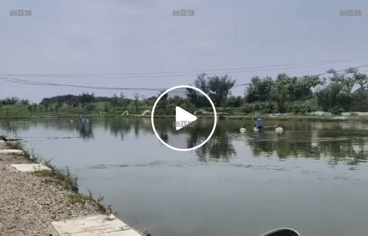 常州溧阳荡上村路亚基地
