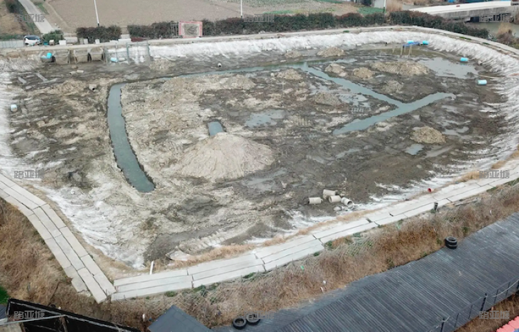 嘉兴平湖齐心路亚