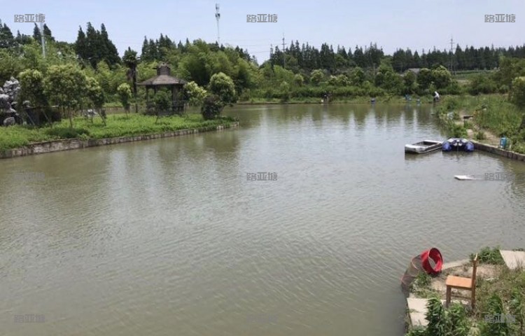 上海星河路亚