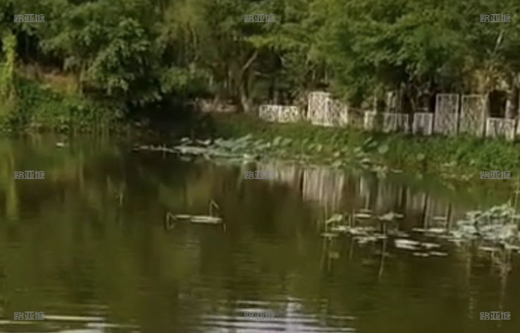 南宁明湖路亚垂钓基地