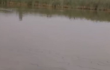 泰州兴化花海生态垂钓园