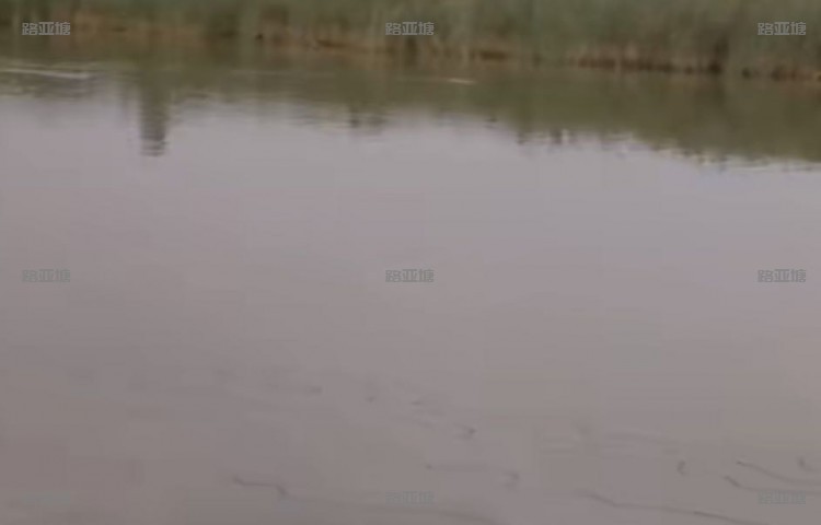 泰州兴化花海生态垂钓园