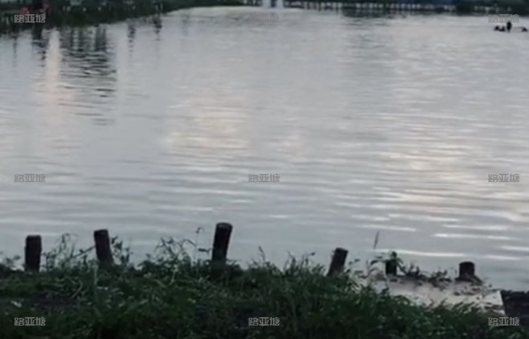 佛山大十麦海钓场