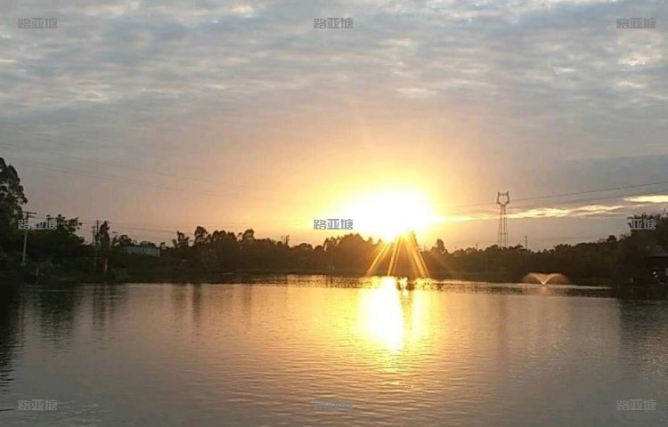 成都鱼多多路亚基地