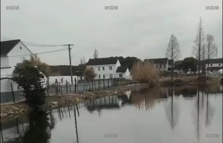 上海灰太狼鱼之乐路亚