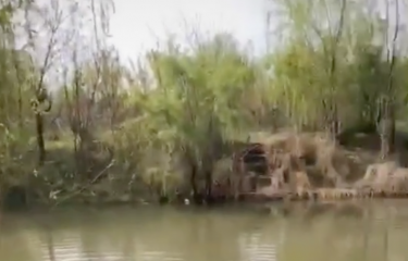 杭州一萌路亚农庄