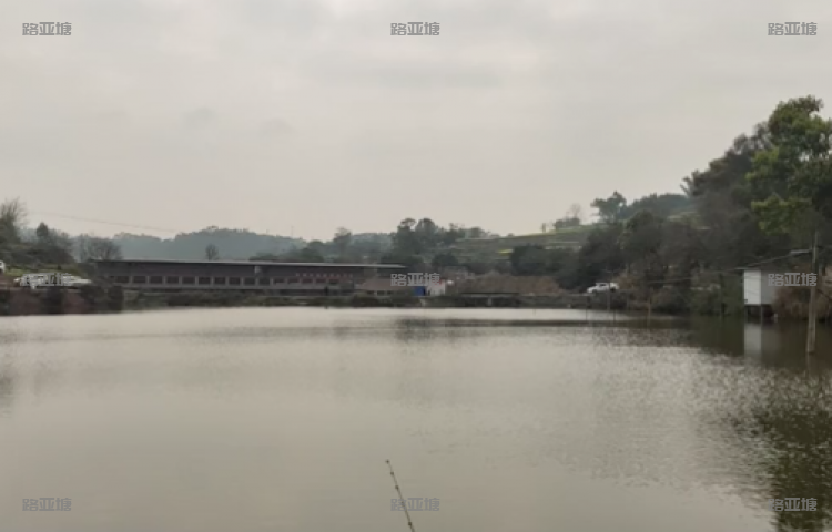 永川凤凰沟路亚基地