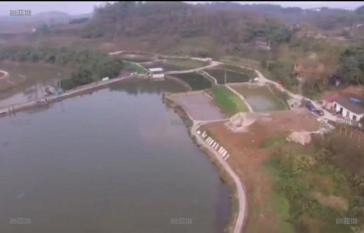 重庆耀达路亚基地