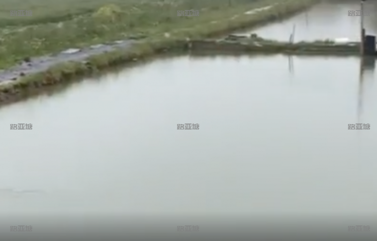 南通宴枫路亚