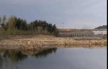 绍兴章镇疯狂路亚基地