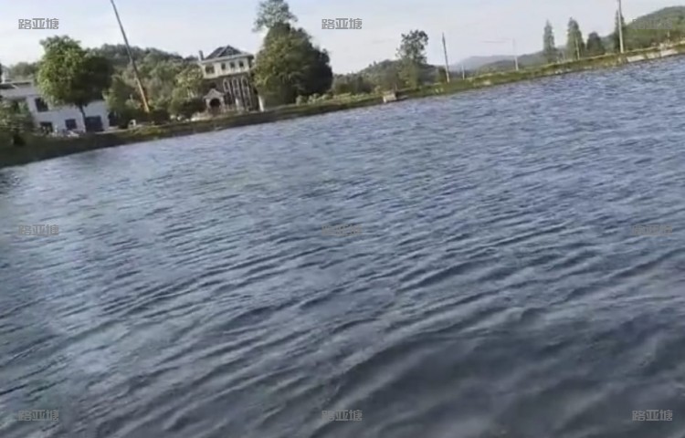 长沙宁乡向阳路亚场