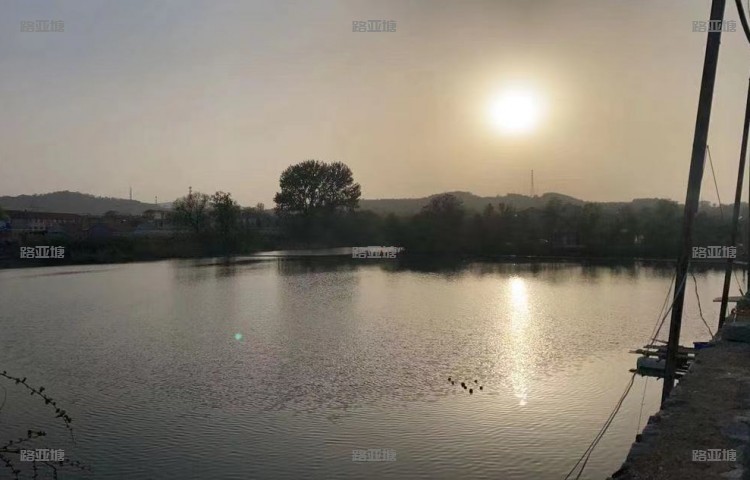 烟台清泉路亚