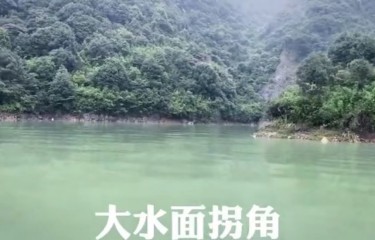 宁德福鼎柏悦路亚