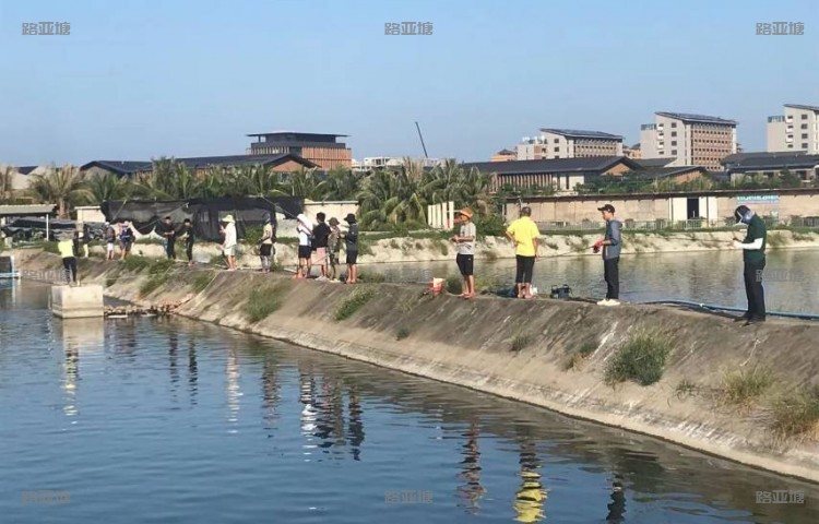 海口飞龙海钓会