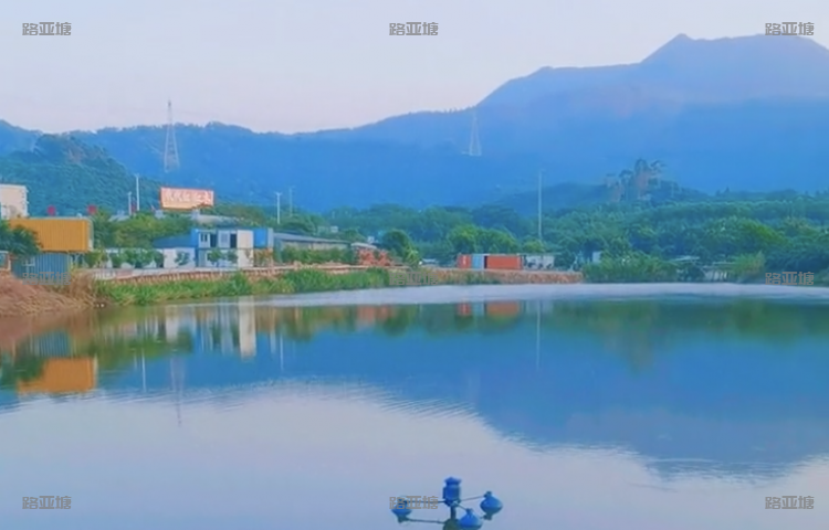 东莞谢岗路亚基地钓场