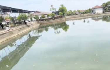 长沙卓玛路亚基地