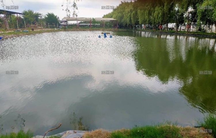 合肥鱼生有你路亚基地