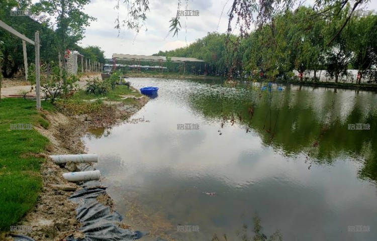 合肥鱼生有你路亚基地