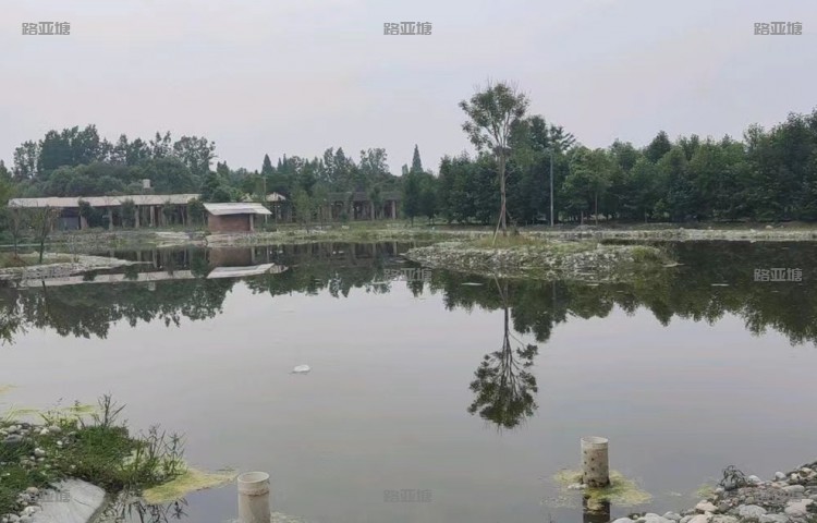 成都老三欢乐路亚