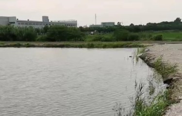 上海鑫祥垂钓路亚中心