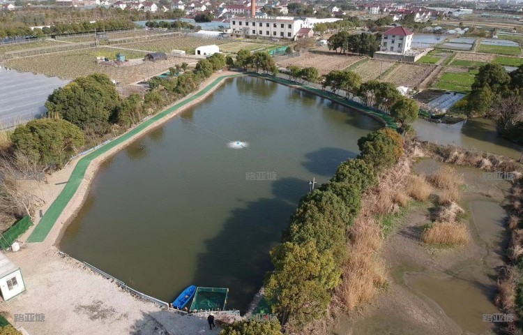 上海左福路亚基地