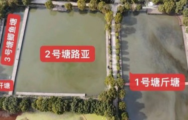 上海桃花岛休闲垂钓中心