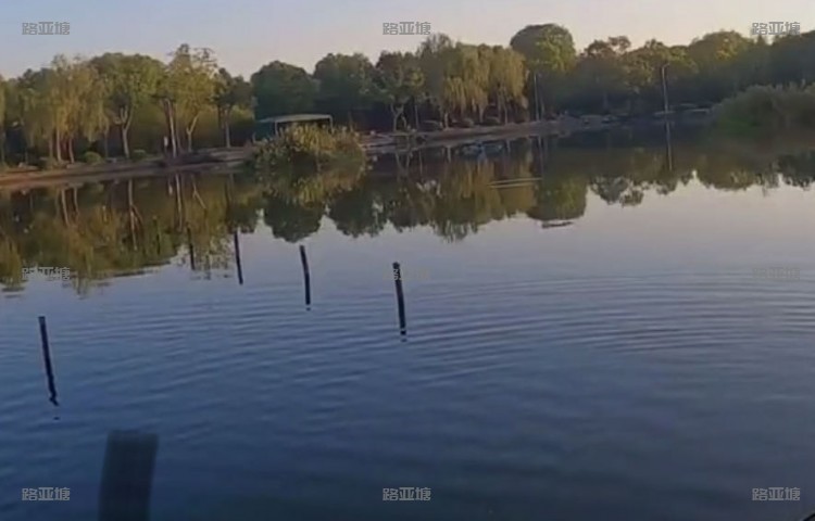 上海金泖路亚