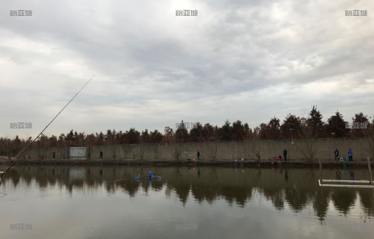 上海光明路亚
