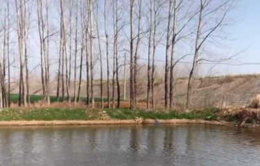 驻马店路亚基地