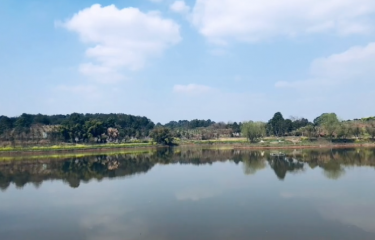 成都市童野路亚