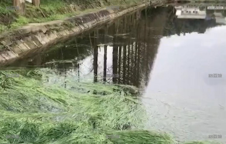 长沙然奇兄弟路亚基地