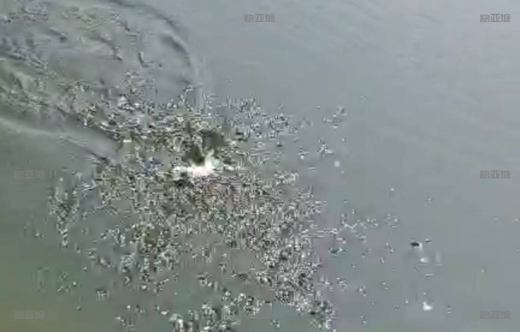 阜阳临泉路亚基地