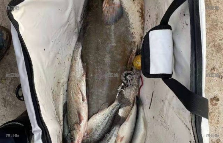 重庆黎香湖艾口钓场