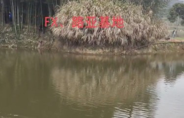 诸暨FX、路亚基地