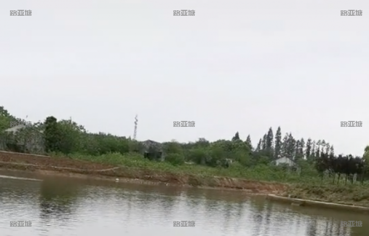 安庆一品绿垂钓园