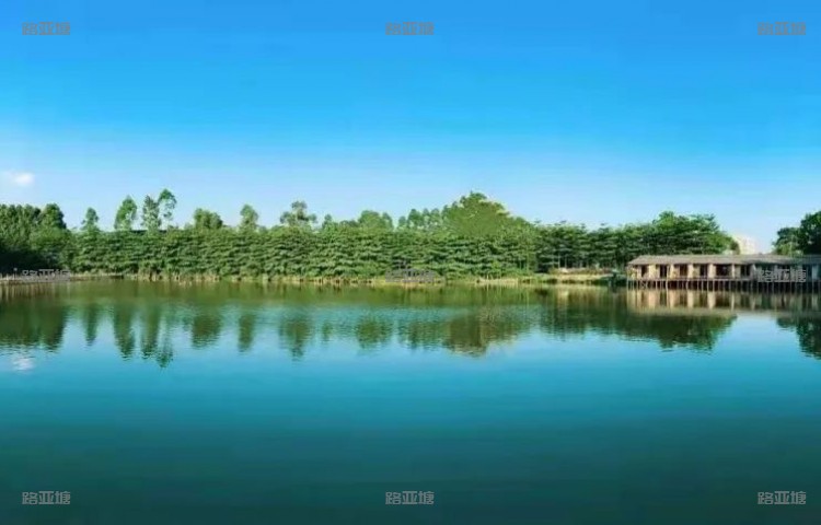 惠州粤鲈绿韵路亚基地