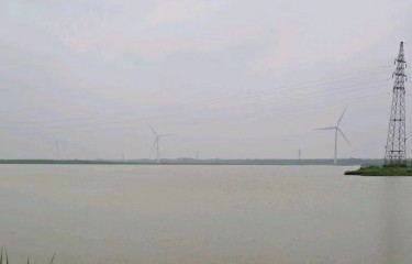 南通如东小洋口海鲈基地