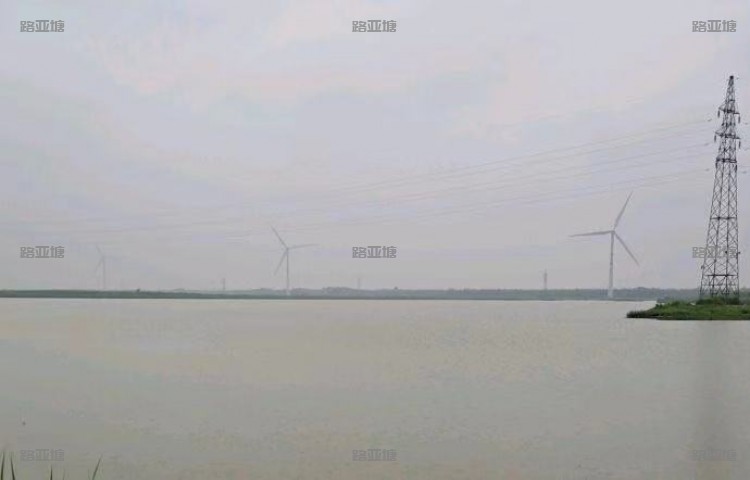 南通如东小洋口海鲈基地