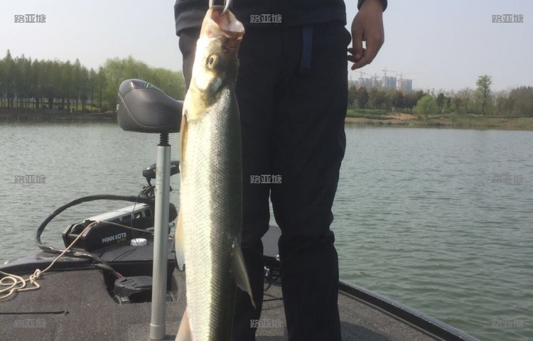 徐州潘安湖国际路亚基地