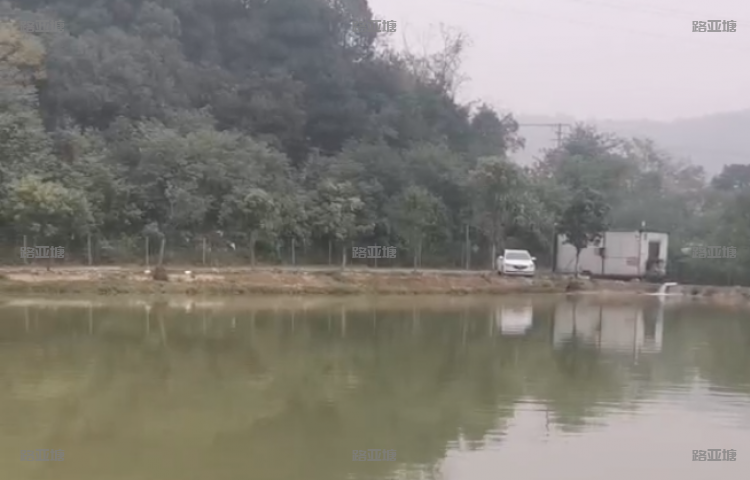 长沙麦子洲路亚基地