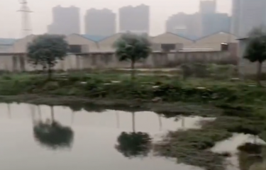 长沙鹧鸪塘路亚