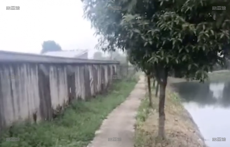 长沙鹧鸪塘路亚