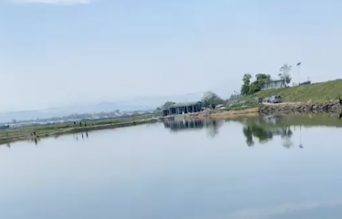 绍兴顶顶路亚基地