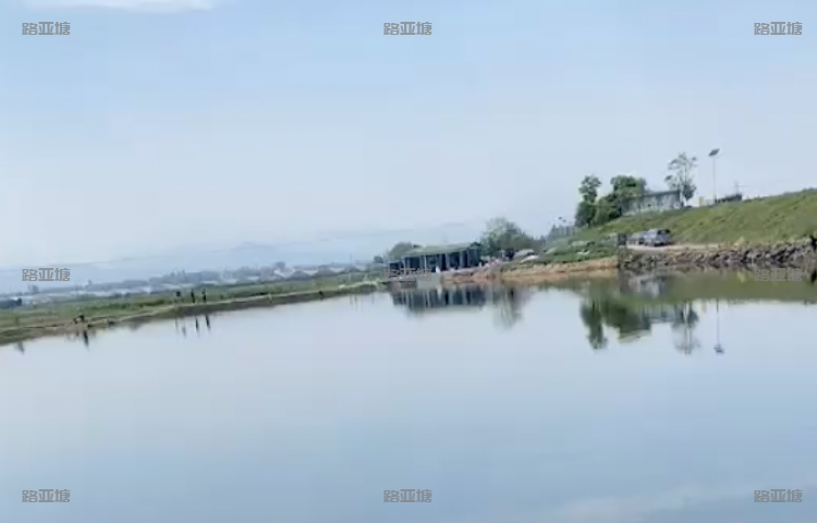 绍兴顶顶路亚基地