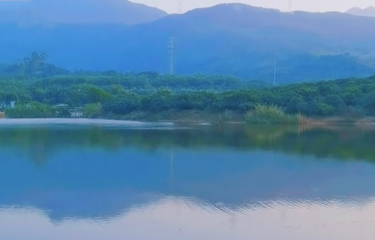东莞谢岗路亚基地钓场