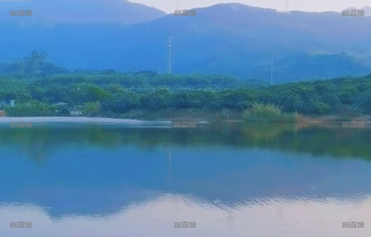 东莞谢岗路亚基地钓场